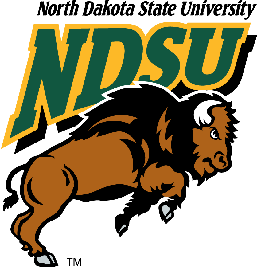 North Dakota State Bison 1999-2012 Primary Logo diy DTF decal sticker